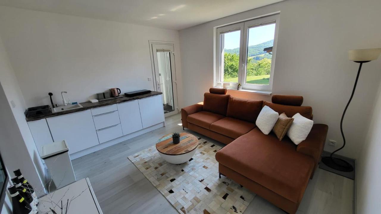 Apartman S Bazenem A Saunou カダニ エクステリア 写真