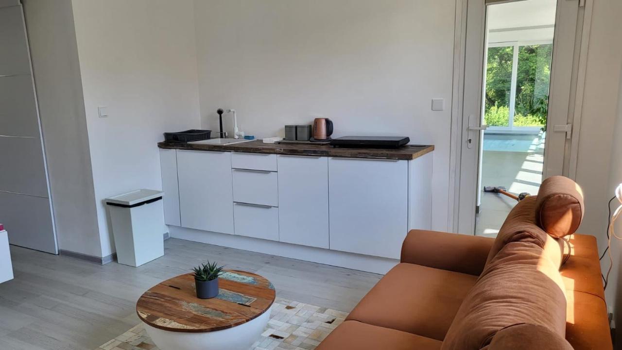 Apartman S Bazenem A Saunou カダニ エクステリア 写真